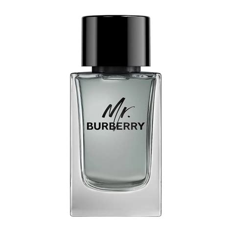 burberry mr burberry eau spray stores